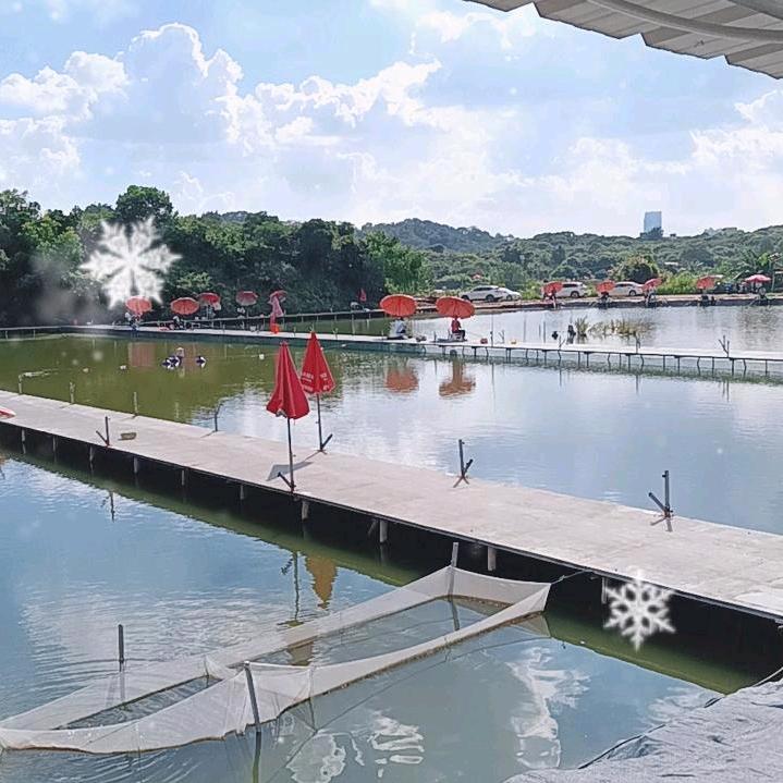 诚园钓场(厚街店)