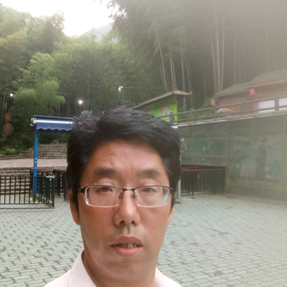 老猫