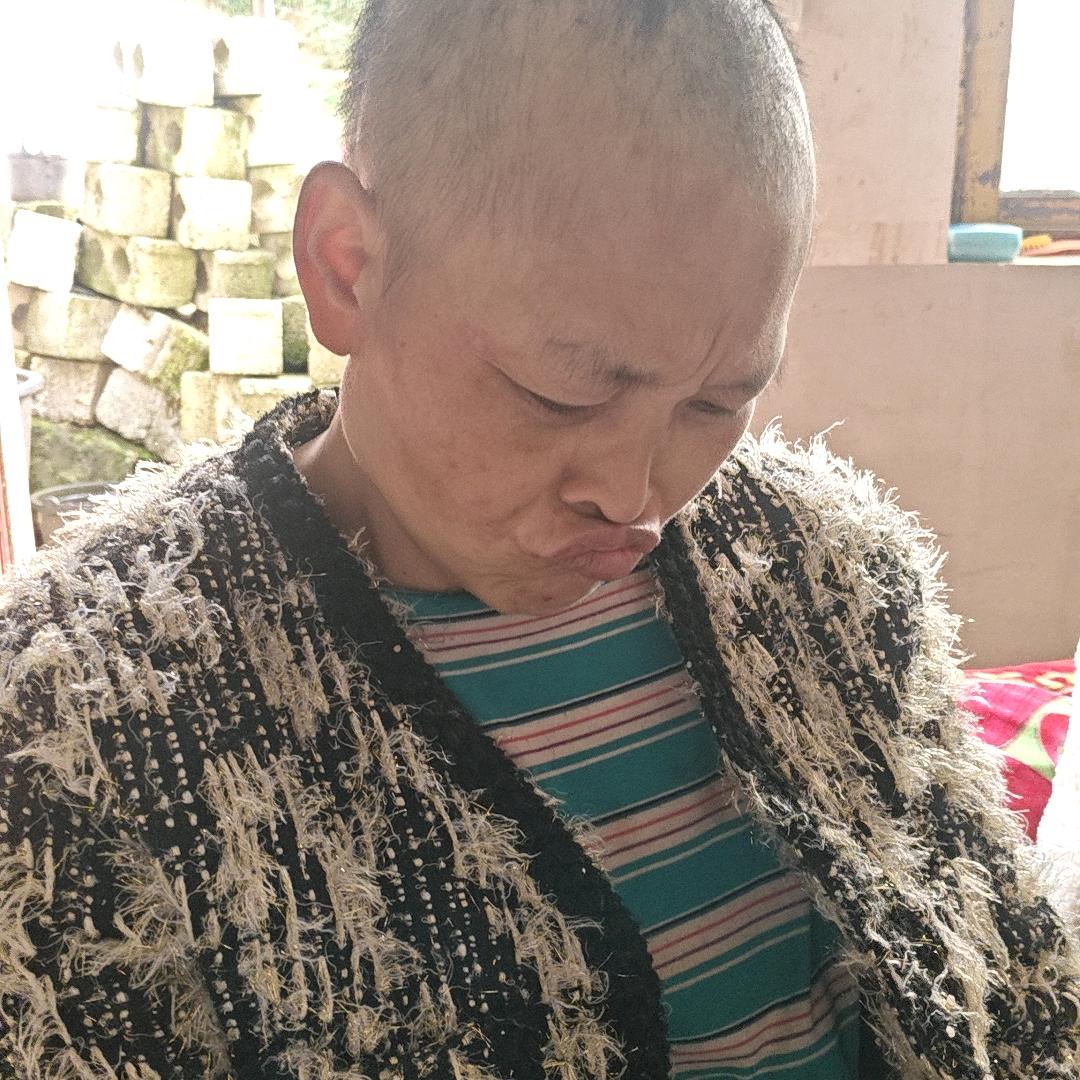 开心的燕子