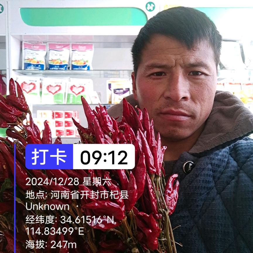 变蛋哥