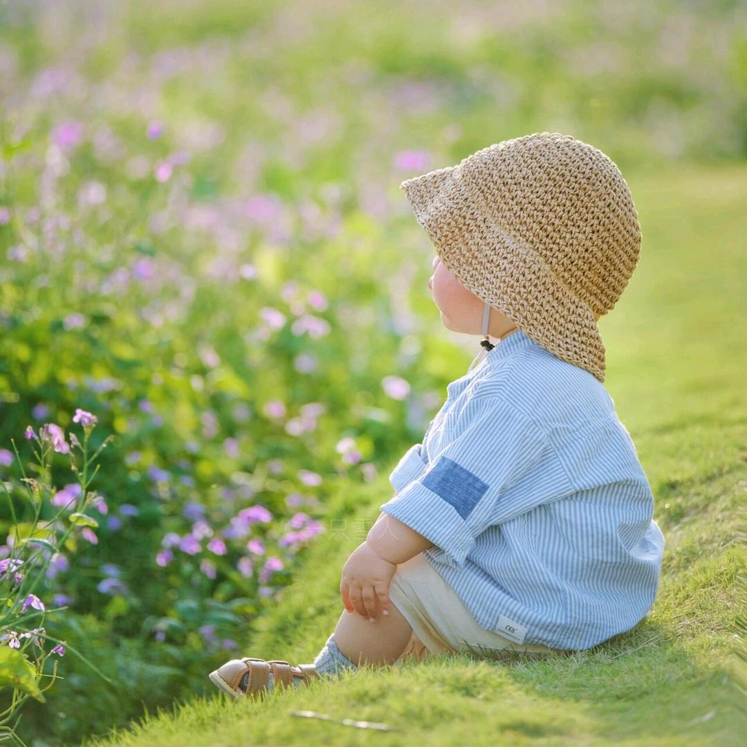 娜姐的小海豚（智驾版）