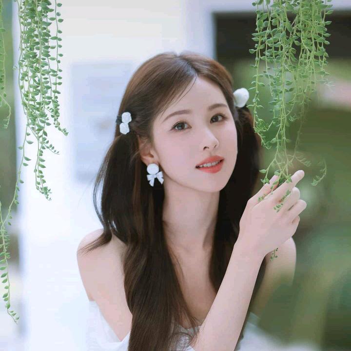 梦梦.