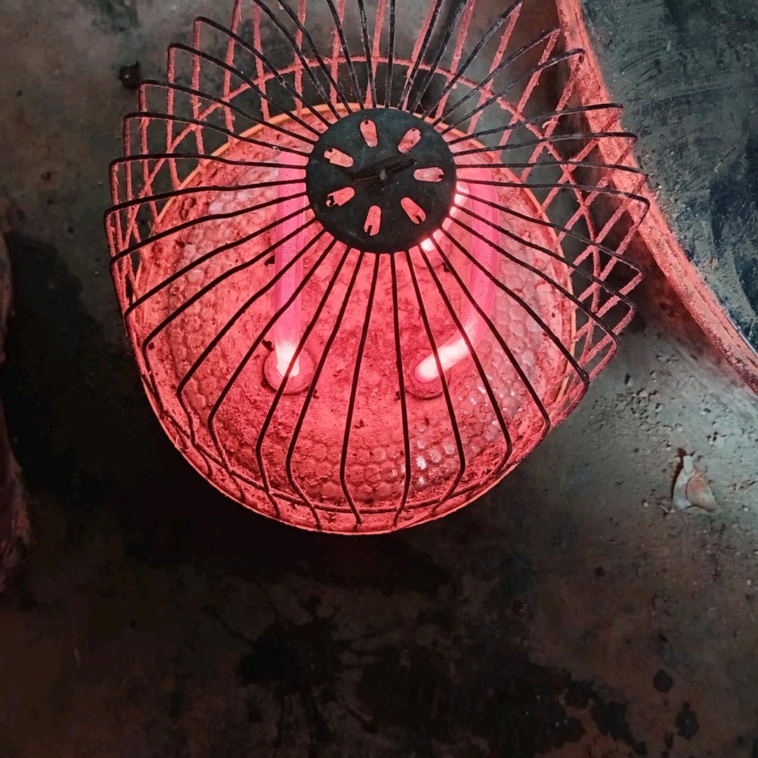 养殖专业合作社