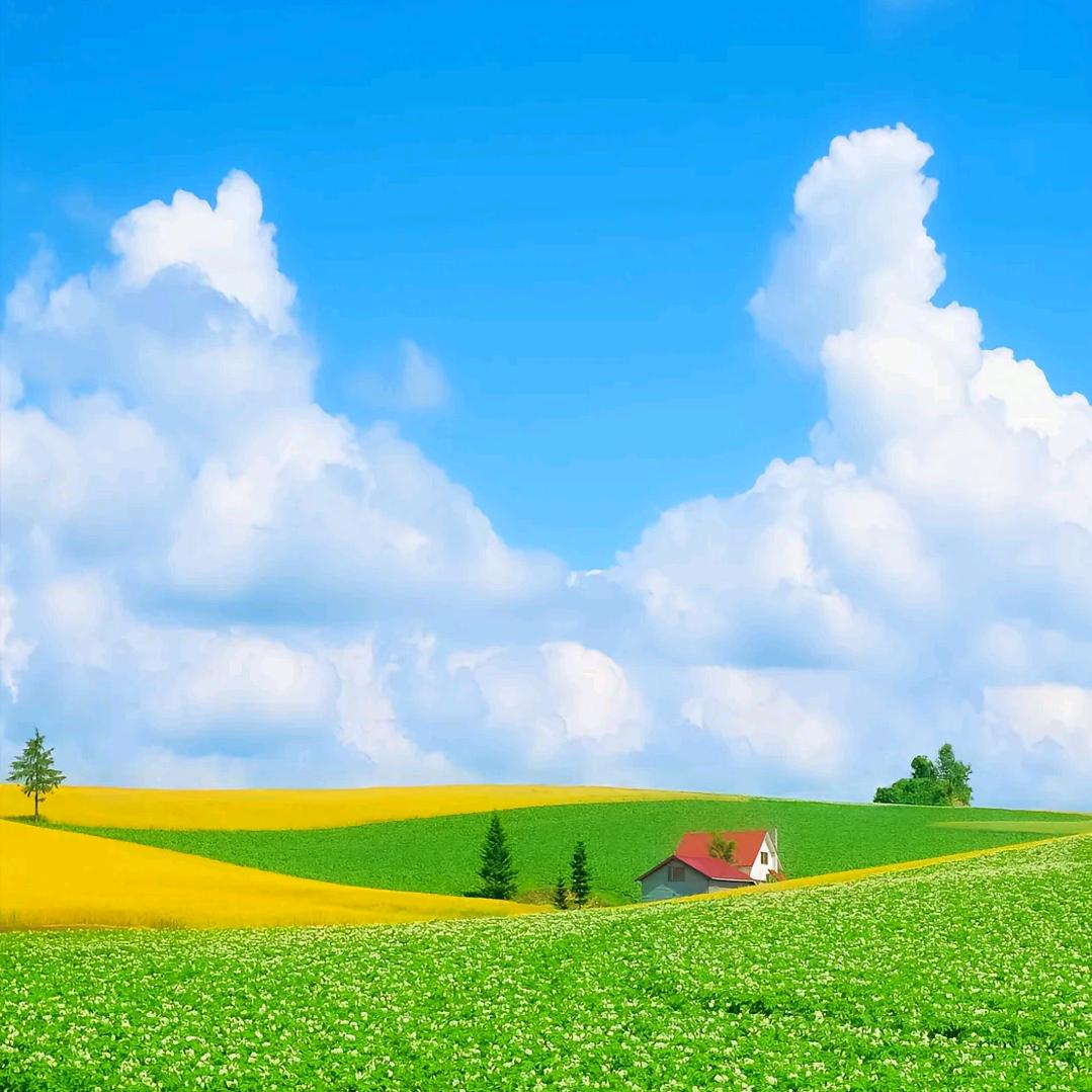 小助理&分享日常生活