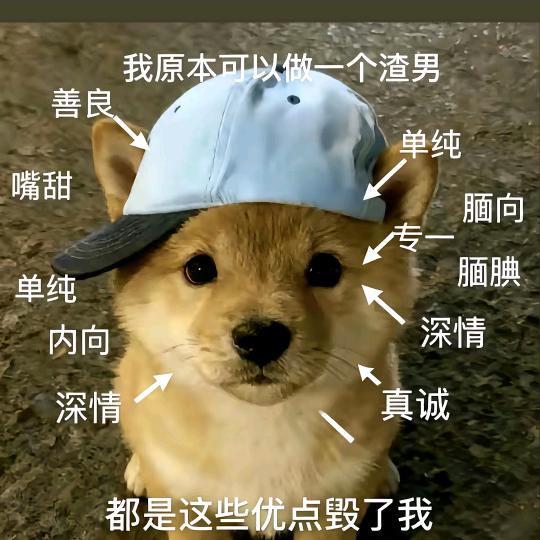 遵纪守法的魔丸