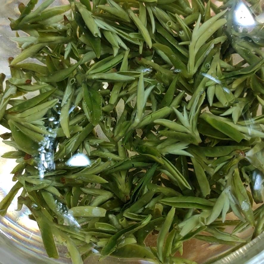 卖茶叶的小陈儿
