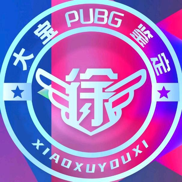 小徐阁-PUBG评估(大宝)