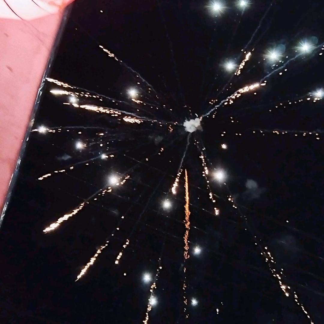 自由自在的大白菜