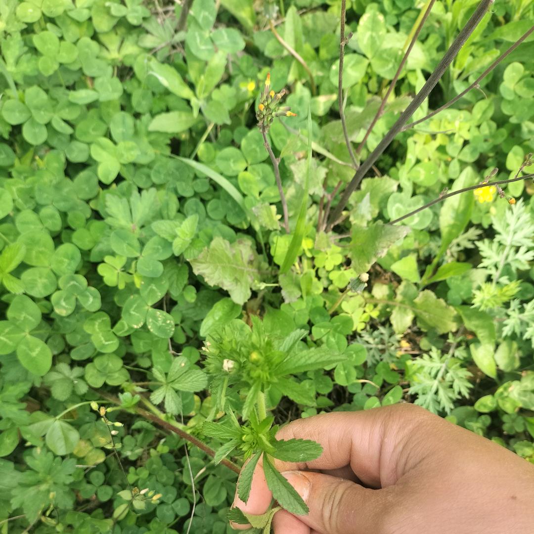 💫往前💰钱看💫