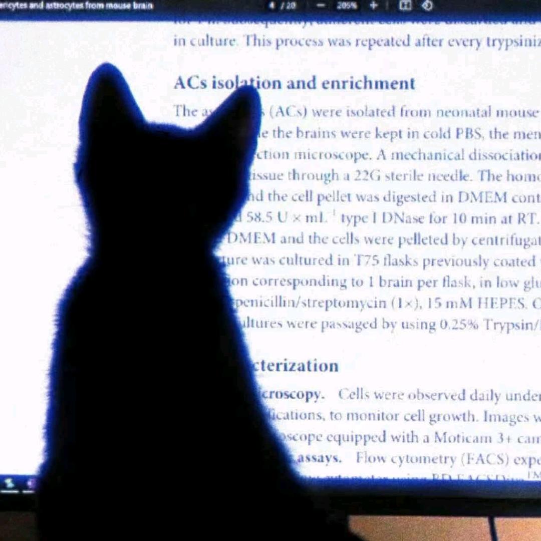 跋山涉水🌈🌈