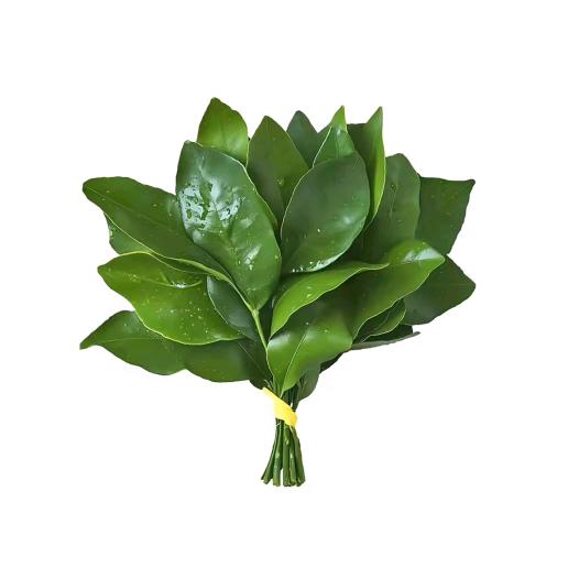 思思同学