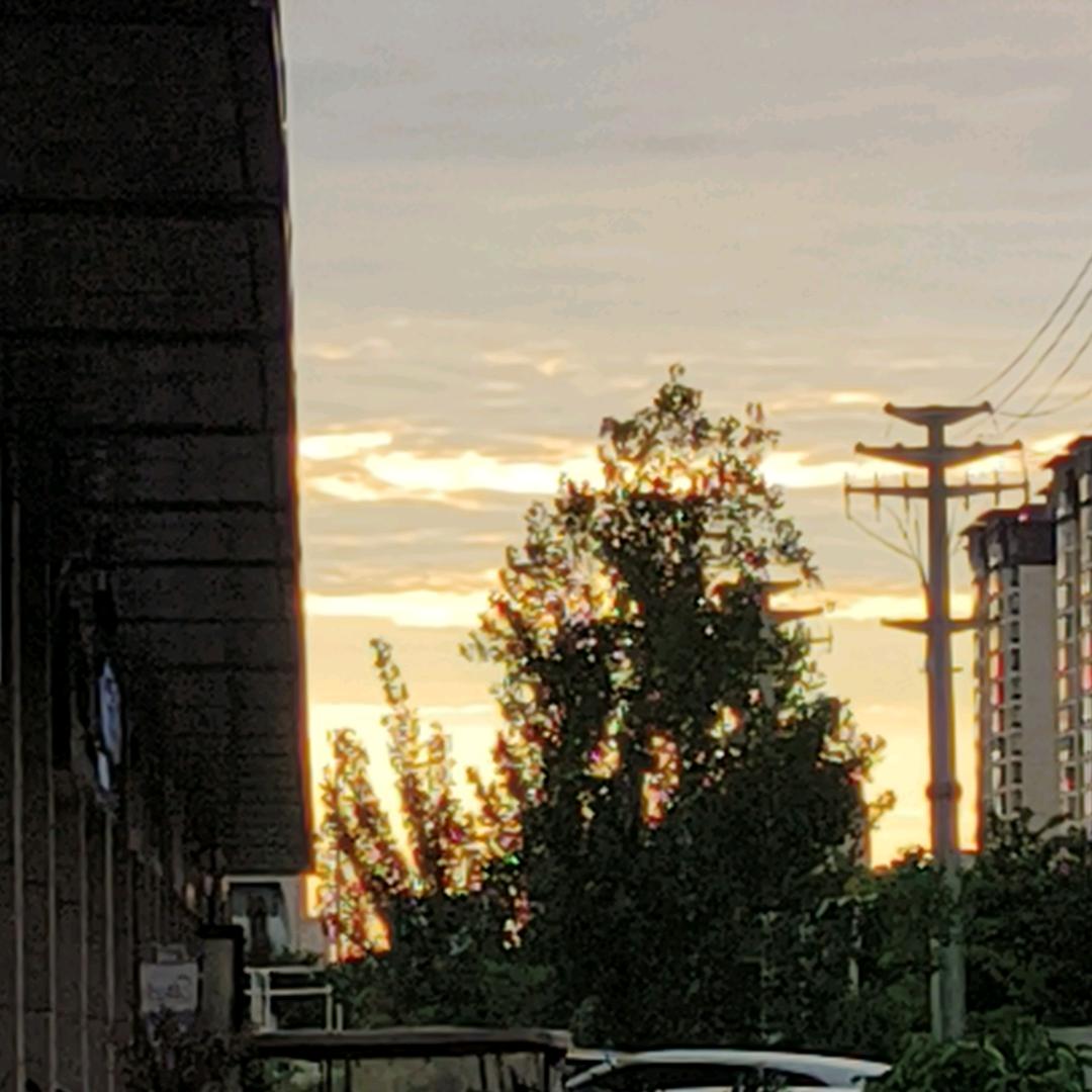土豆要去卖小米