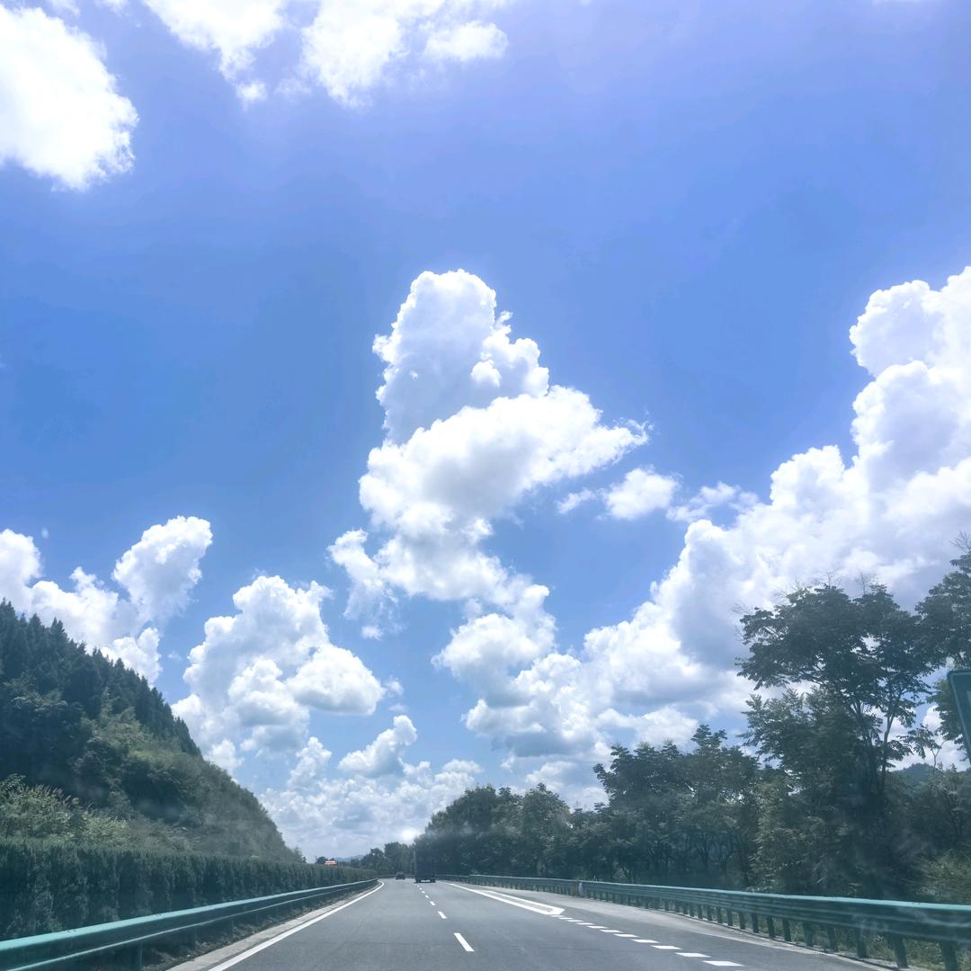 君临天下，凤舞九州