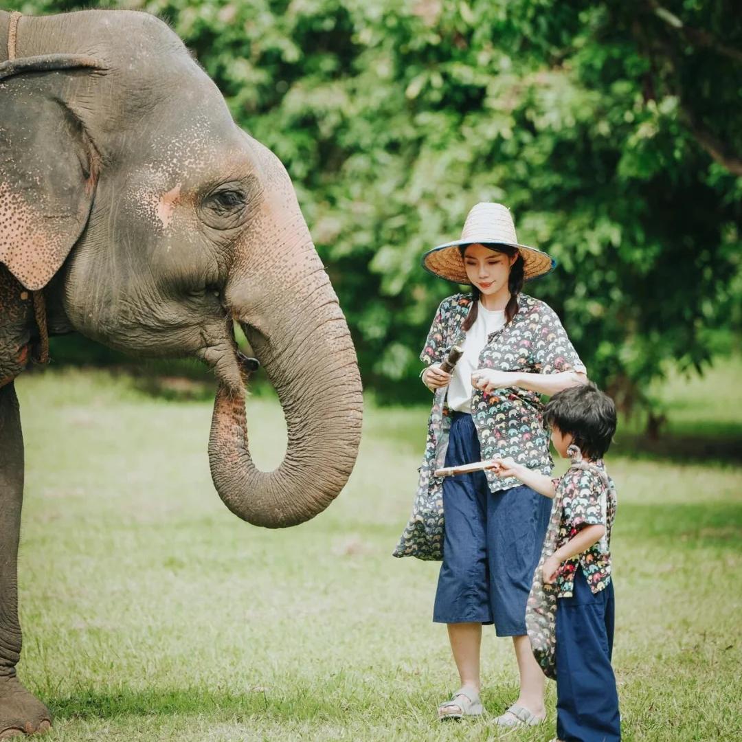 亲子纯玩（西双版纳）