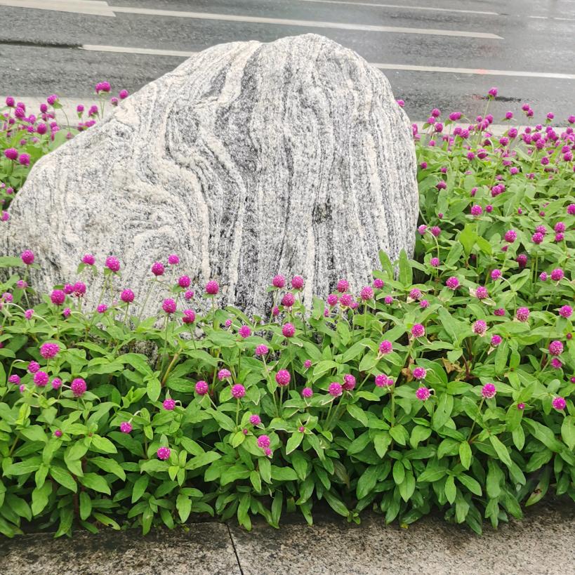 柳暗🍊花明🌹