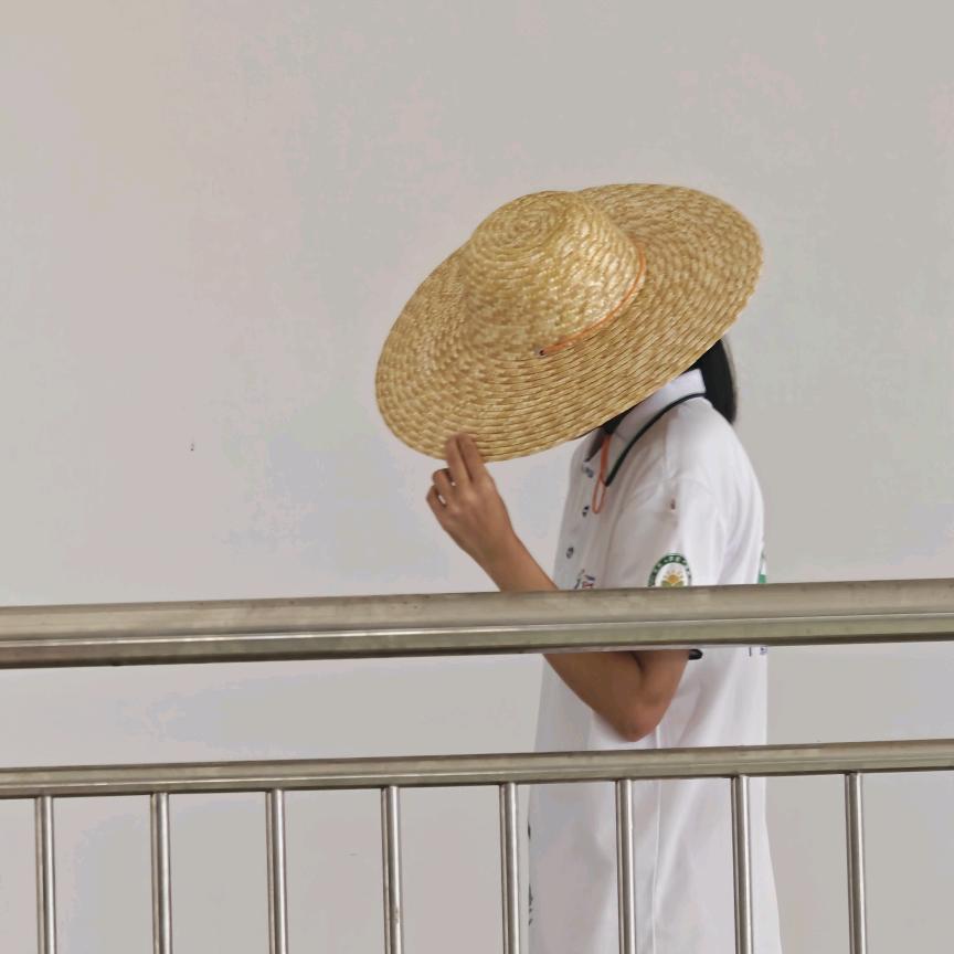 喜欢中药的小猪猪