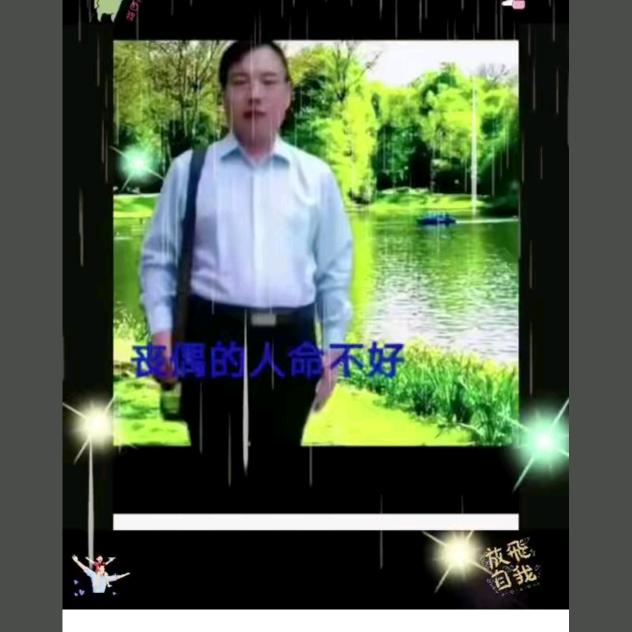 沈丘人在焦作1