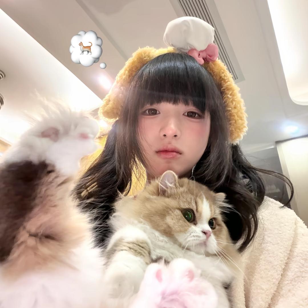 小蚊子要发财ⁱᵐᵃᵒ