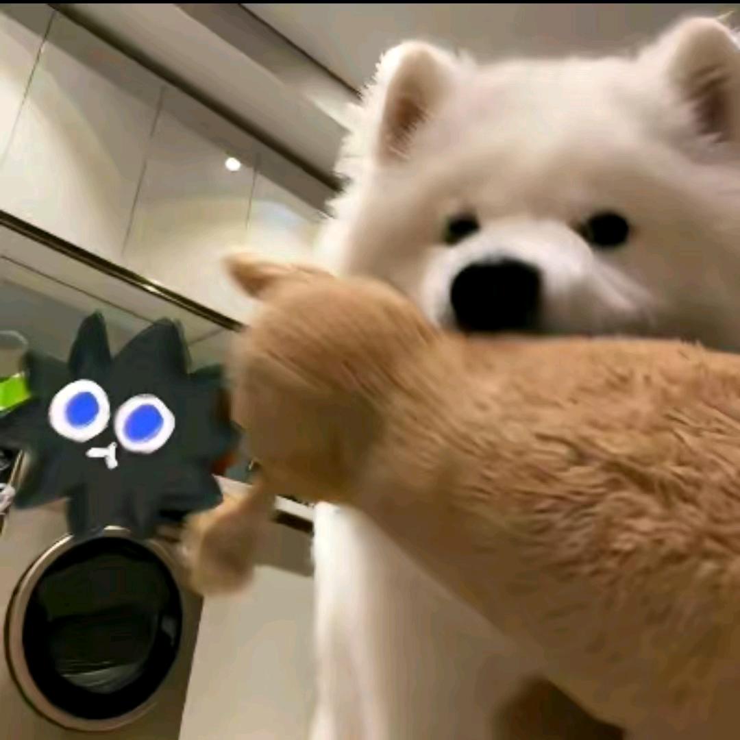 小庆嘻嘻