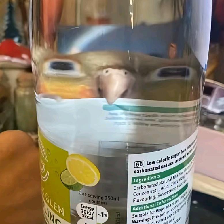 踏实的感觉我只要一点点