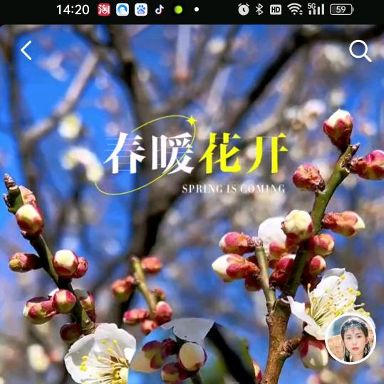 小燕
