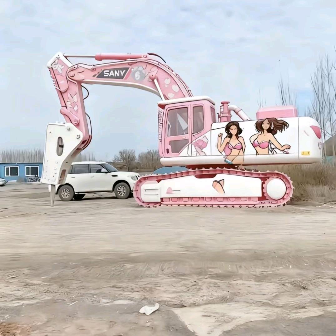 老高挖机租赁～翔中机械