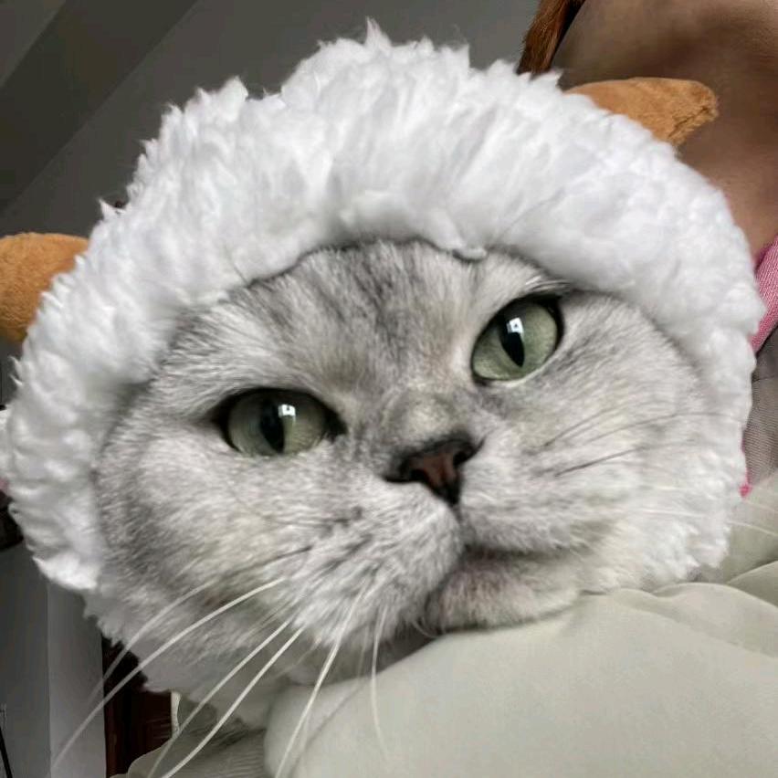 只乌猪