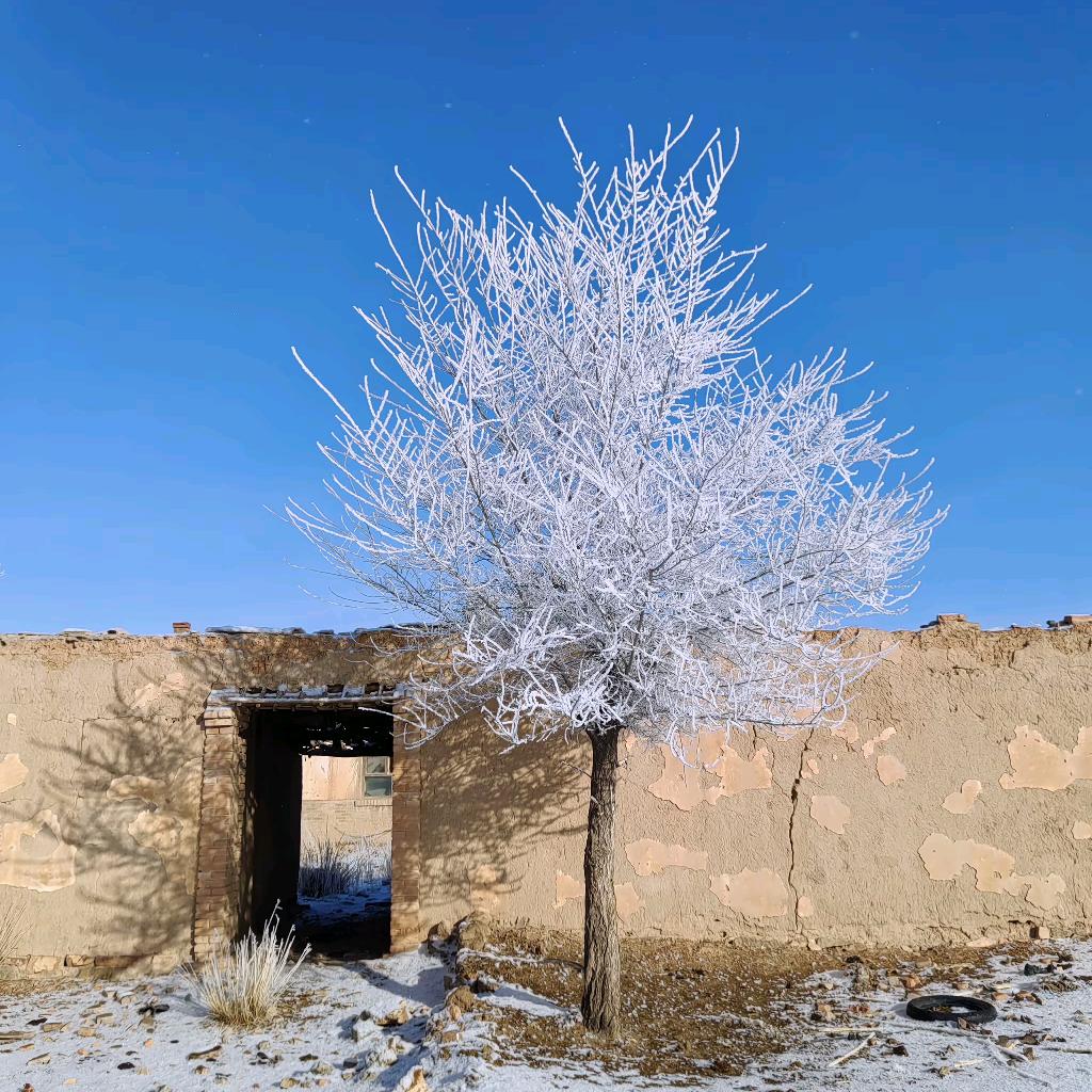 飞了了(新号关注必回关)