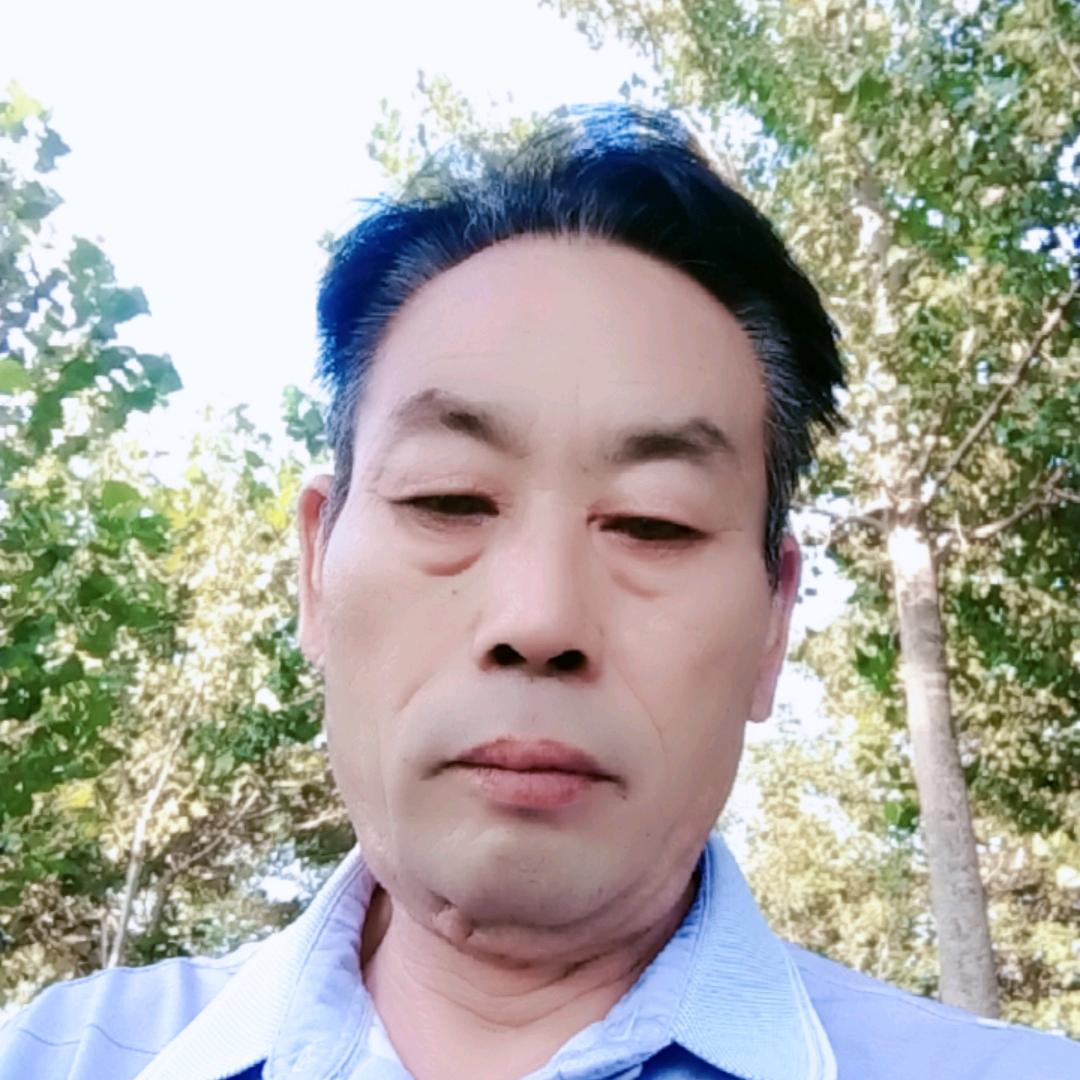 杨哥沈丘