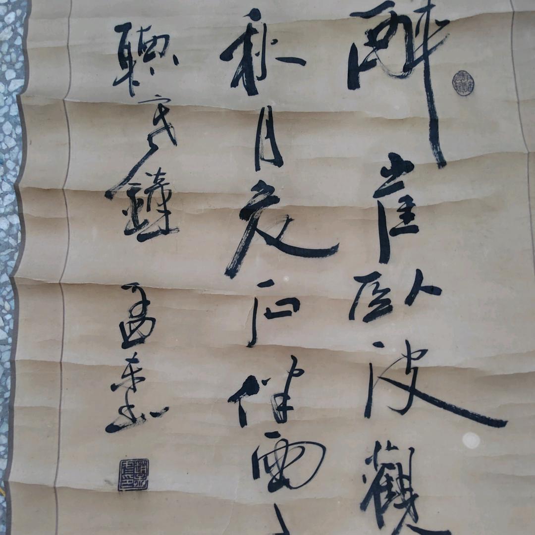 沐光归航