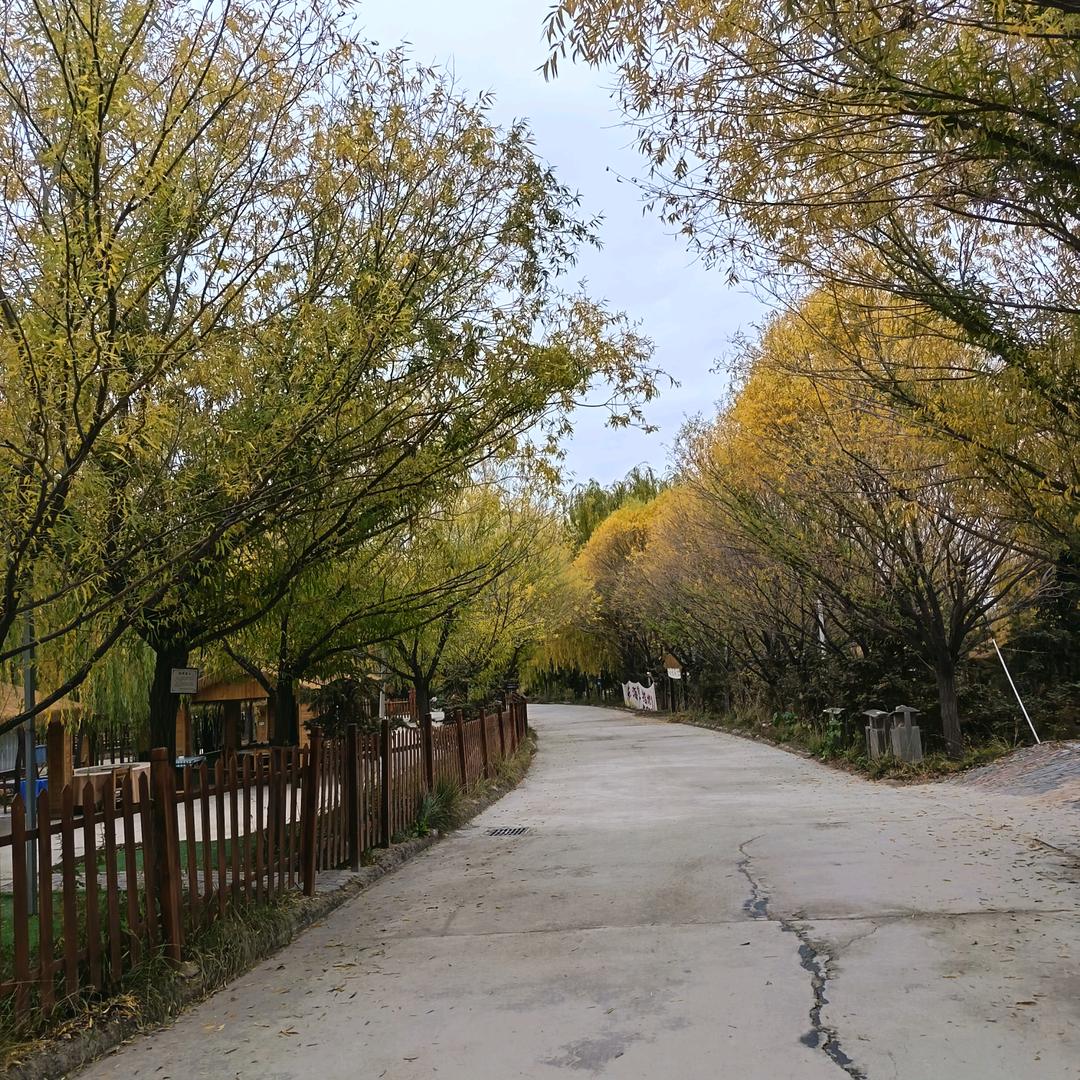 ℯ⃝🚬ᝰꫛ格局ꫀ