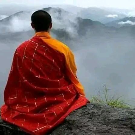 人生看淡