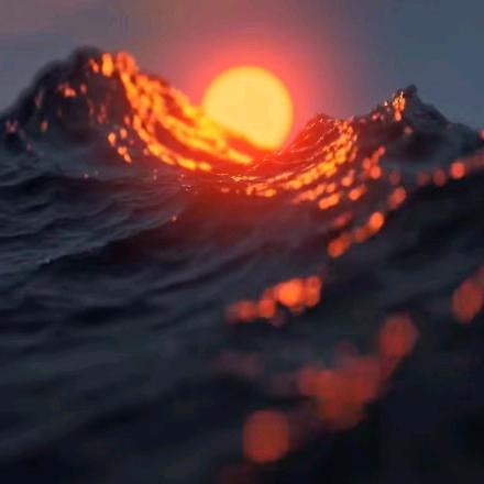 沽觞