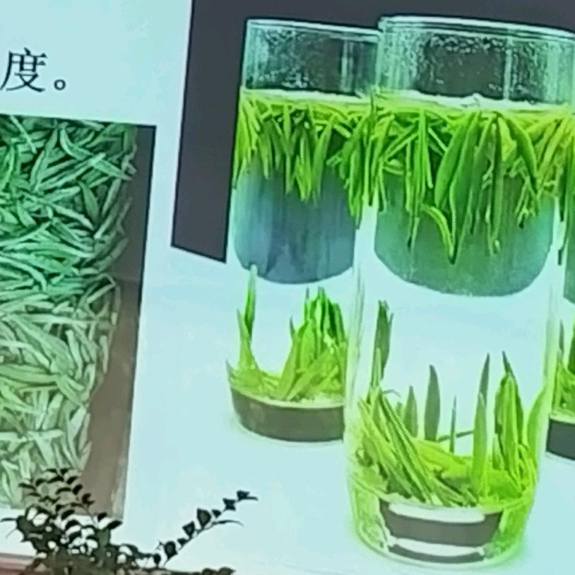🌿淡然