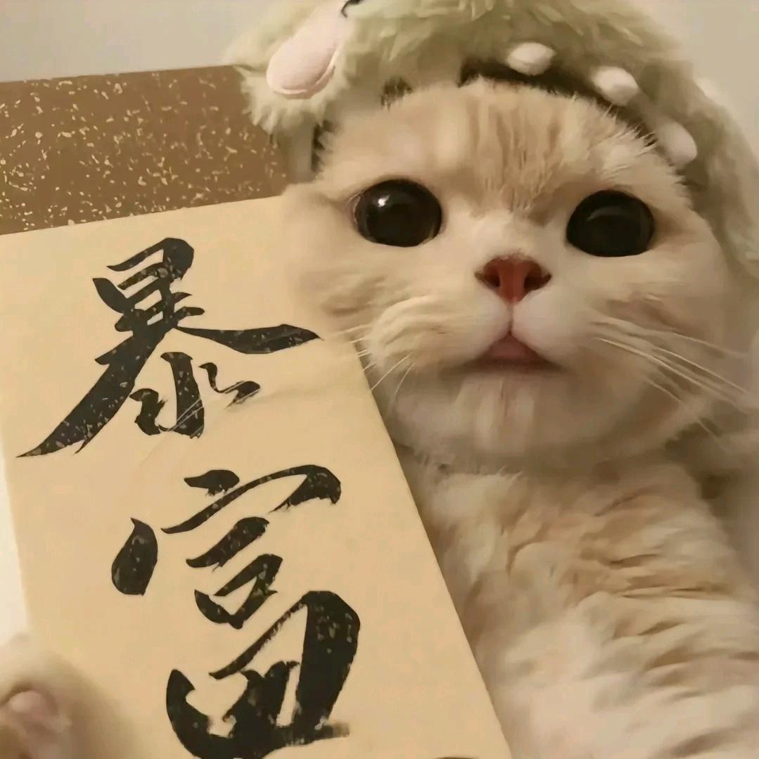 煲仔饭 ✨