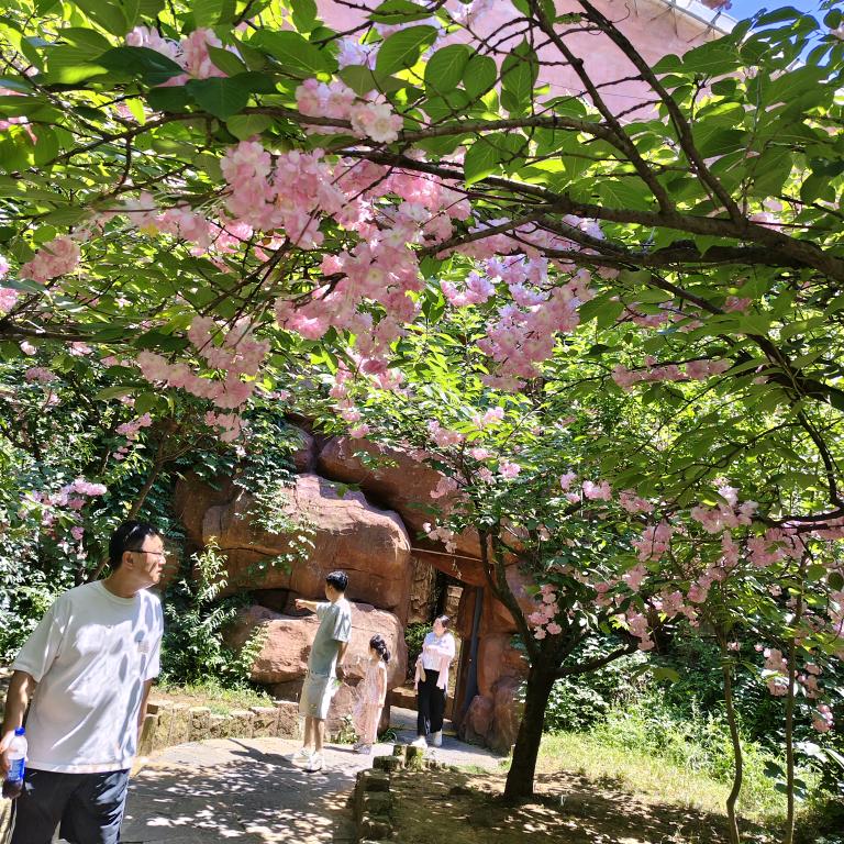 a米乐