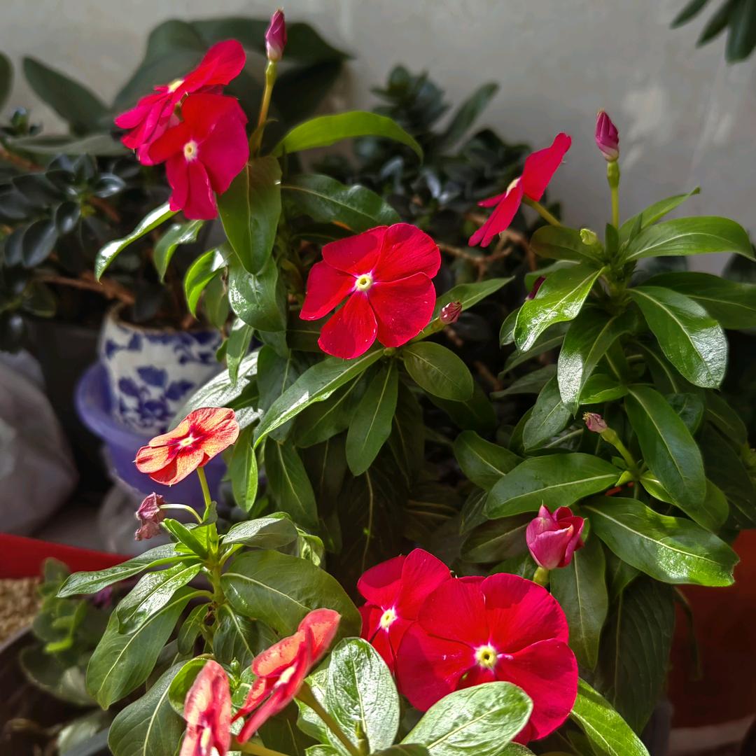 念我所念，爱我所爱