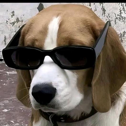 二狗闯荡江湖🅥