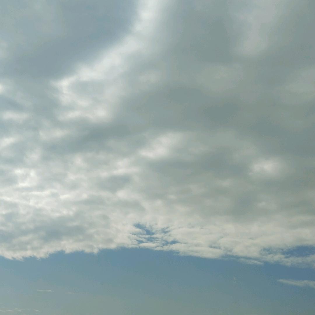 一片空白、