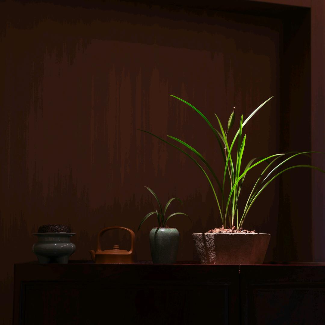 云栖造物
