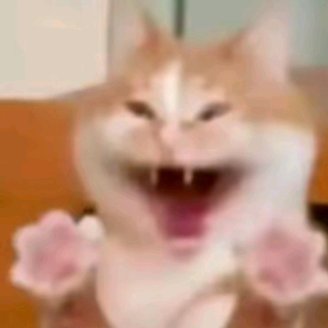 惜灰