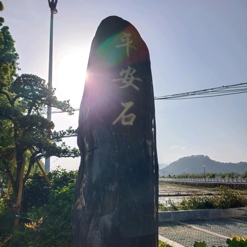 惊鸿客