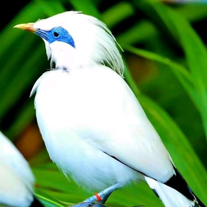 雪姐宠物优品小铺