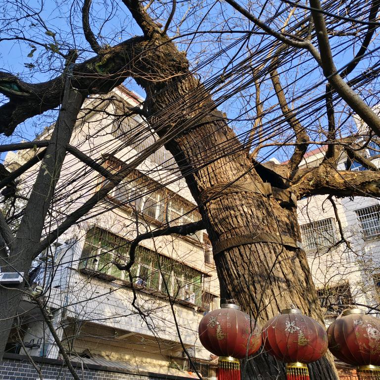幸福的一家人🌺🌺