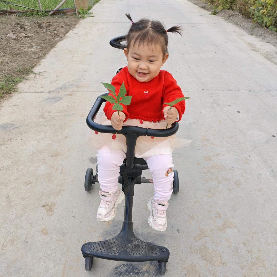 枭菜菜（三角洲）