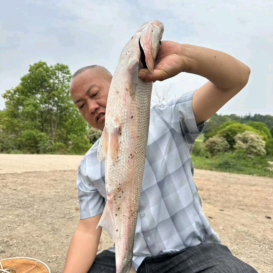 田家休闲娱乐垂钓
