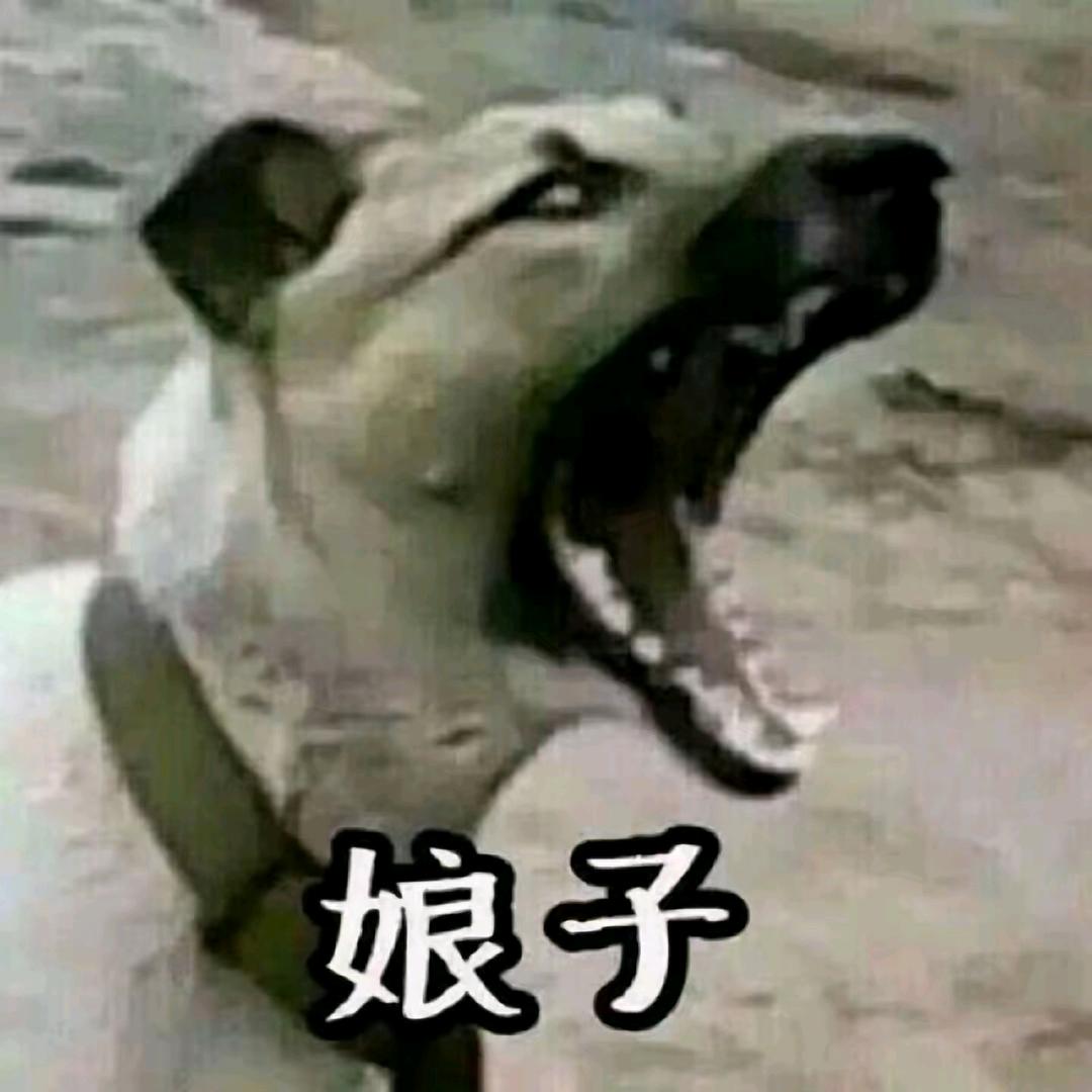大梦几千秋