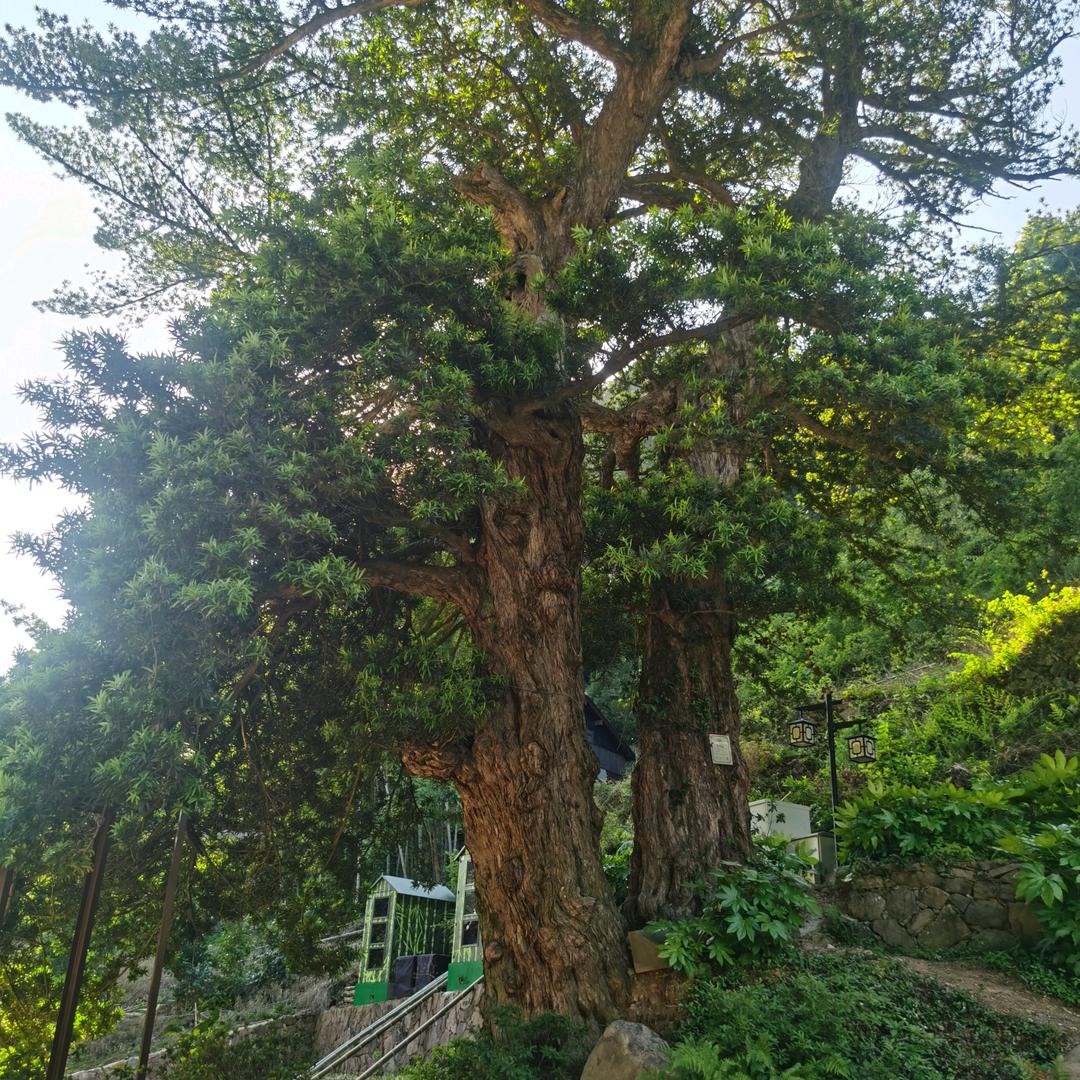 三十而立