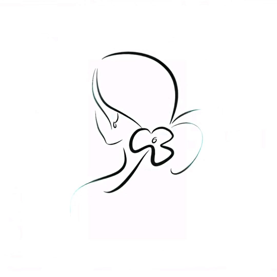 乖不໊如野