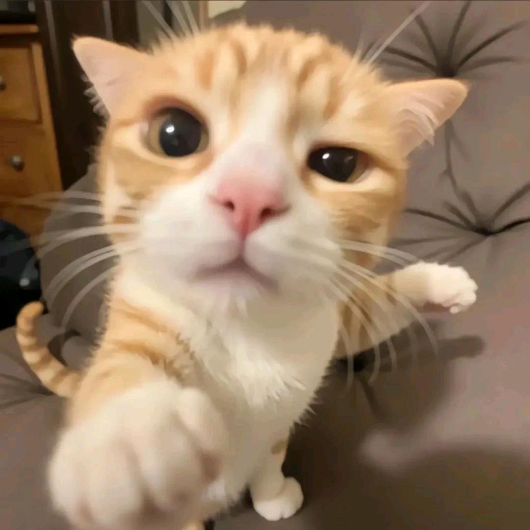 🐟⁸⁵.